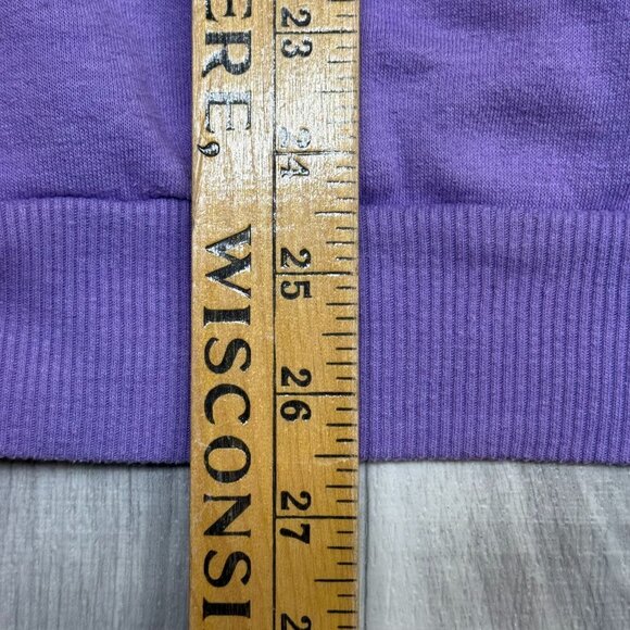 ✅Men L Spongebob Squarepants Bikini Bottom Drivers License Graphic Hoodie Purple - Picture 8 of 11